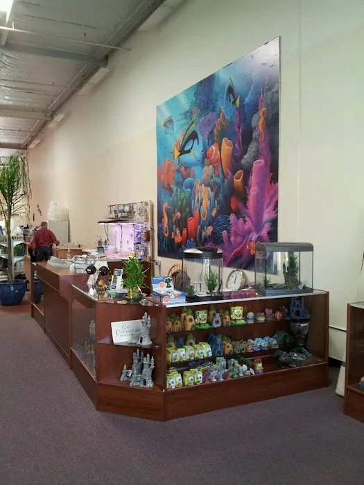 Concord Aquarium Picture 2