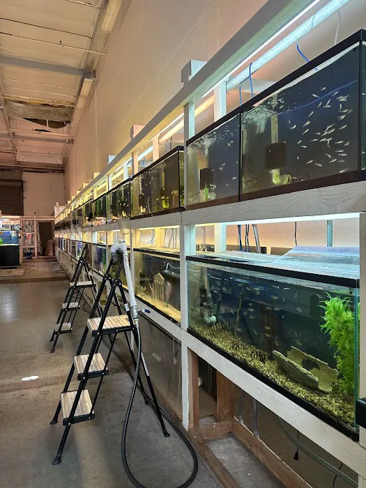 Concord Aquarium Picture 6