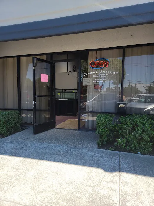 Concord Aquarium Picture 7