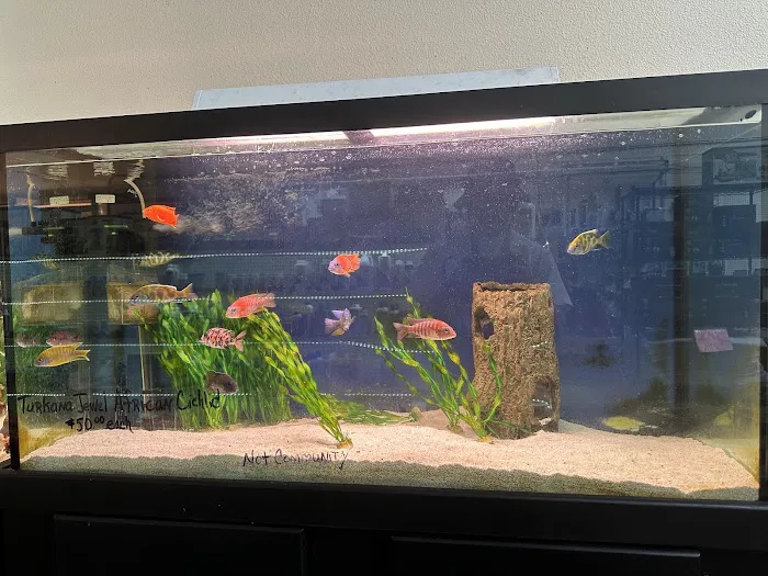 Concord Aquarium Picture 4