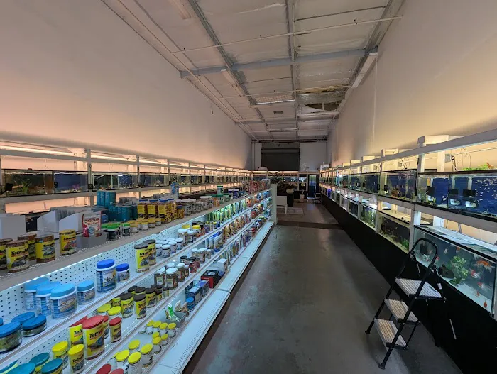 Concord Aquarium Picture 8