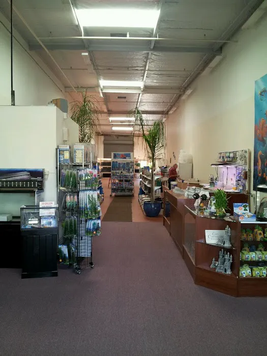 Concord Aquarium Picture 5