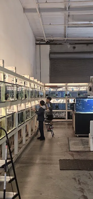 Concord Aquarium Picture 9