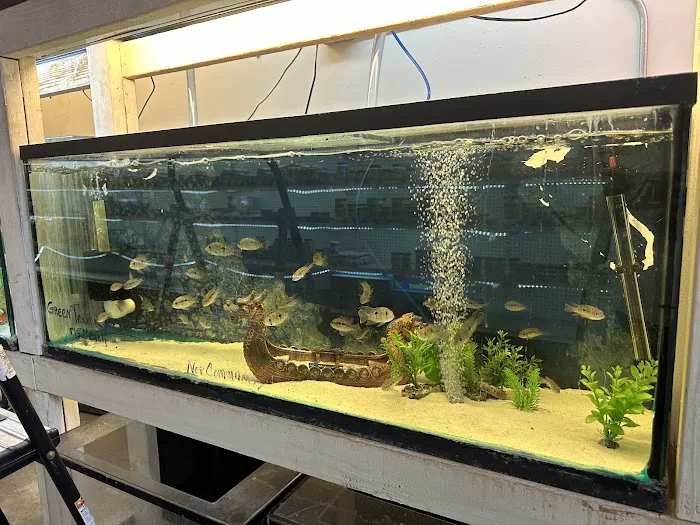 Concord Aquarium Picture 10