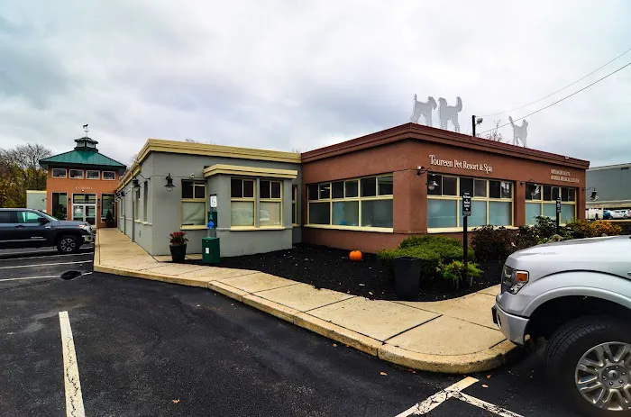 Massachusetts Animal Medical Center Picture 2