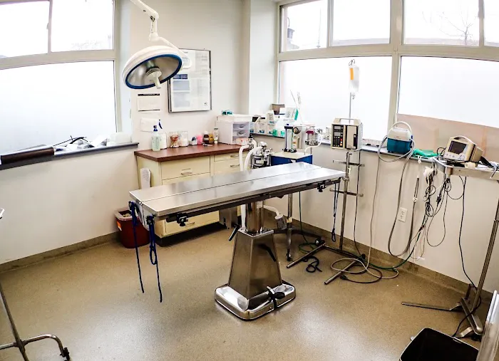 Massachusetts Animal Medical Center Picture 3