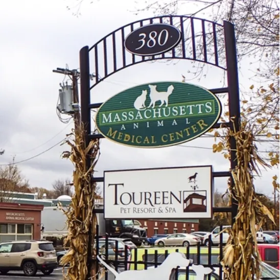 Massachusetts Animal Medical Center Picture 6