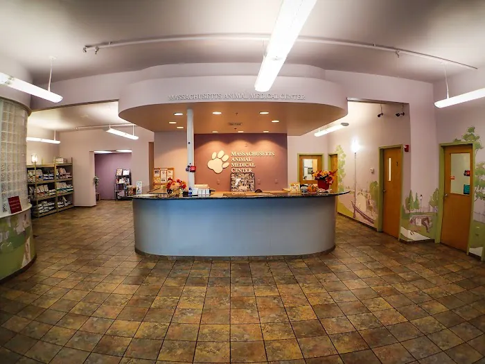 Massachusetts Animal Medical Center Picture 8