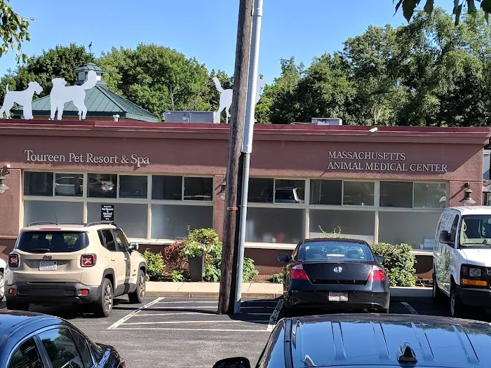 Massachusetts Animal Medical Center Picture 10