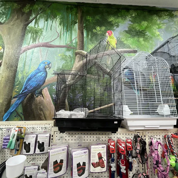 Hacienda La Piedad pet shop Picture 5