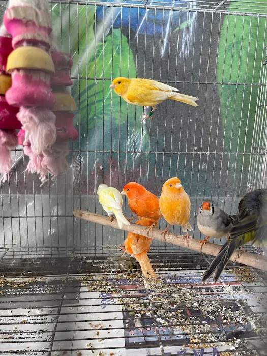 Hacienda La Piedad pet shop Picture 4