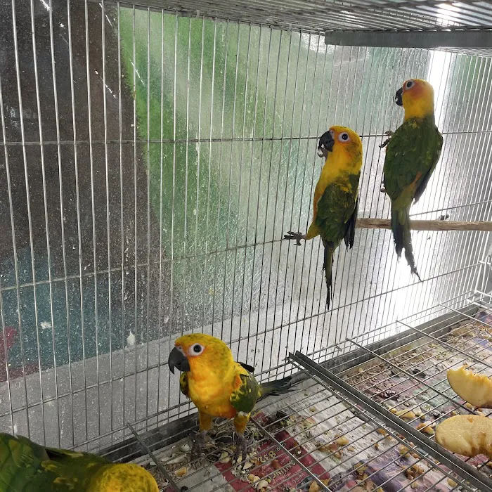 Hacienda La Piedad pet shop Picture 7