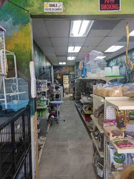 Hacienda La Piedad pet shop Picture 2