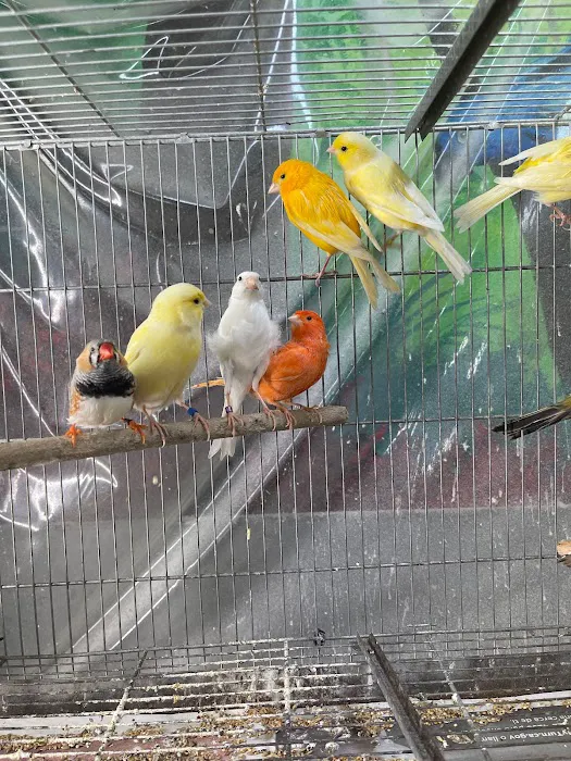 Hacienda La Piedad pet shop Picture 9