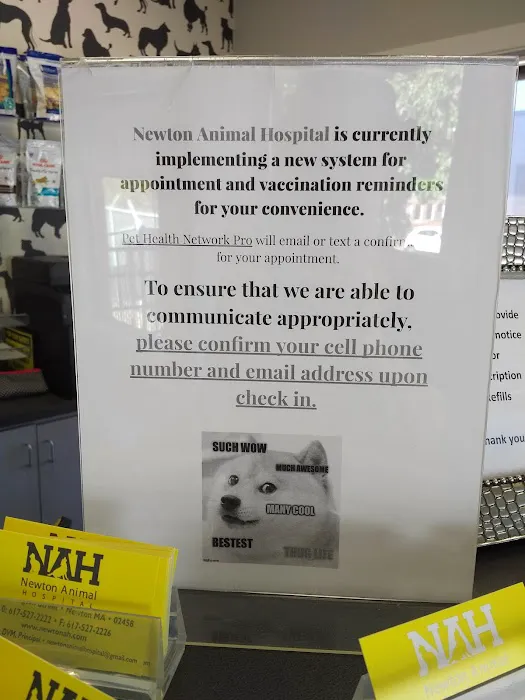 Newton Animal Hospital, A Thrive Pet Healthcare Partner Picture 9