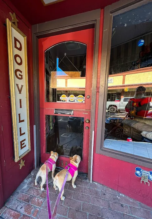 Dogville Picture 1