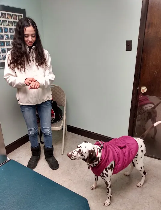 Watertown Animal Hospital Picture 3