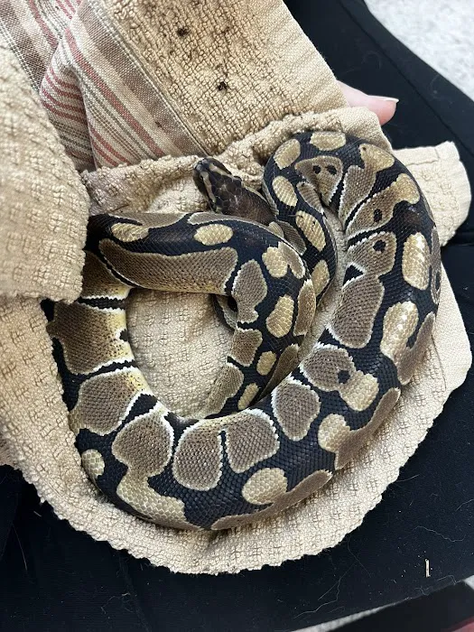 The Serpentarium Picture 5