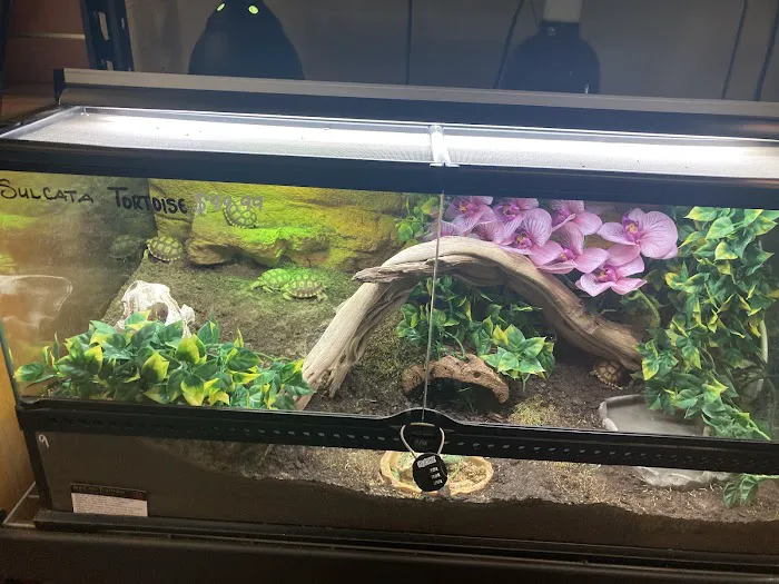 The Serpentarium Picture 4