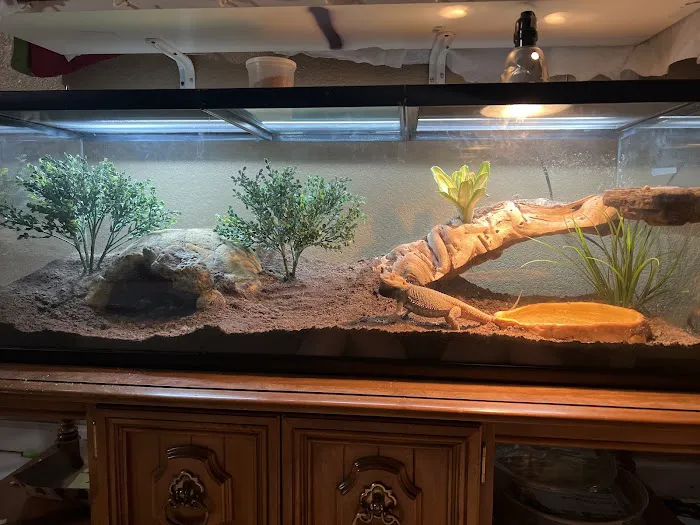 The Serpentarium Picture 3