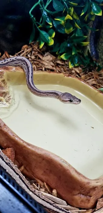 The Serpentarium Picture 1