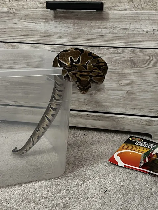 The Serpentarium Picture 10