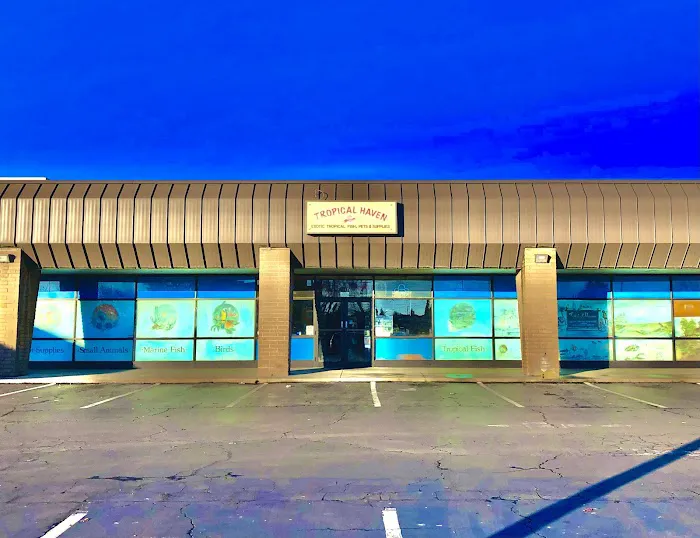 Tropical Haven Picture 1