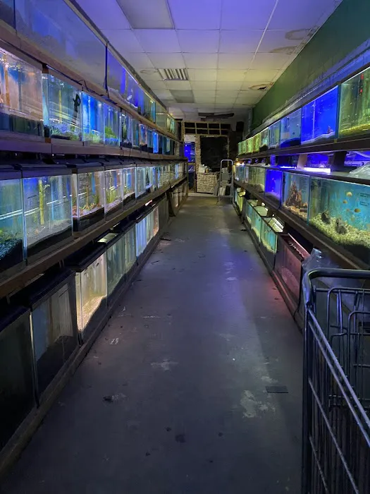 Tropical Haven Picture 5