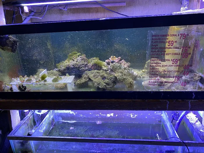 Tropical Haven Picture 4