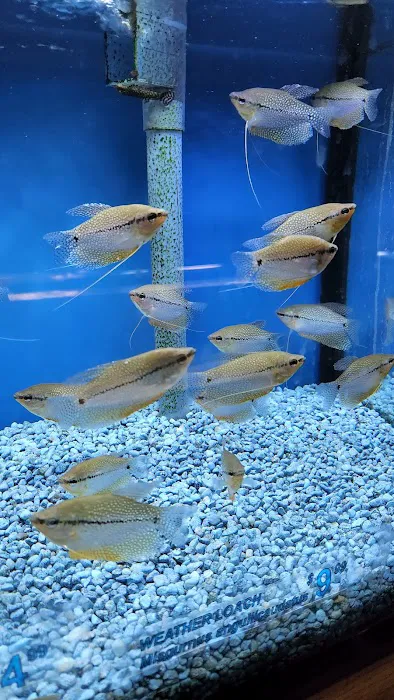 Tropical Haven Picture 7