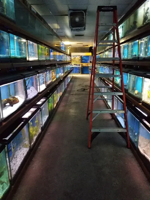 Tropical Haven Picture 3