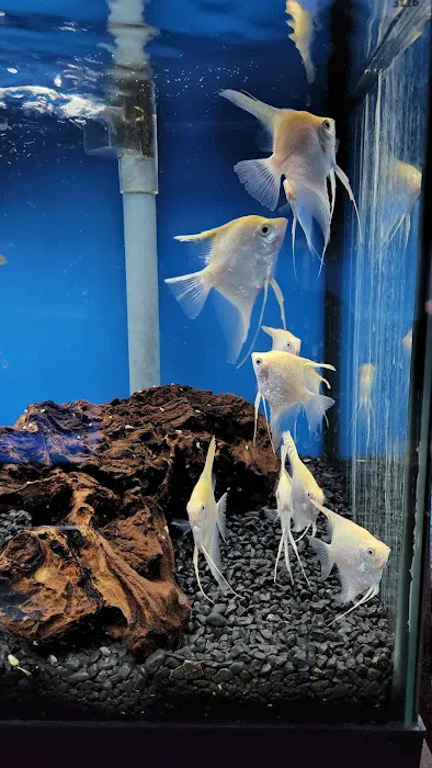 Tropical Haven Picture 2