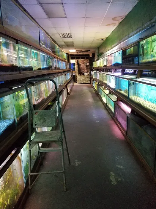 Tropical Haven Picture 8