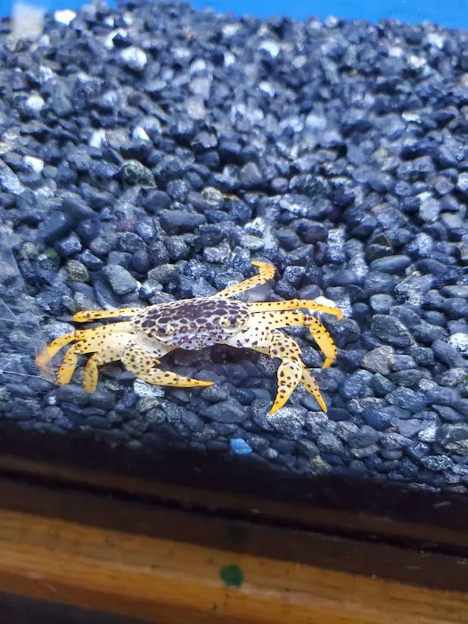 Tropical Haven Picture 9