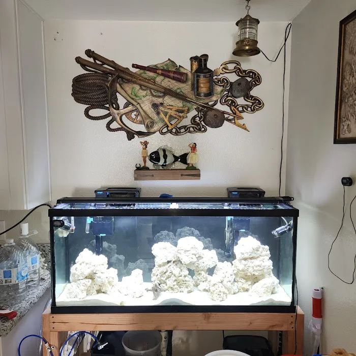 Tropical Haven Picture 10