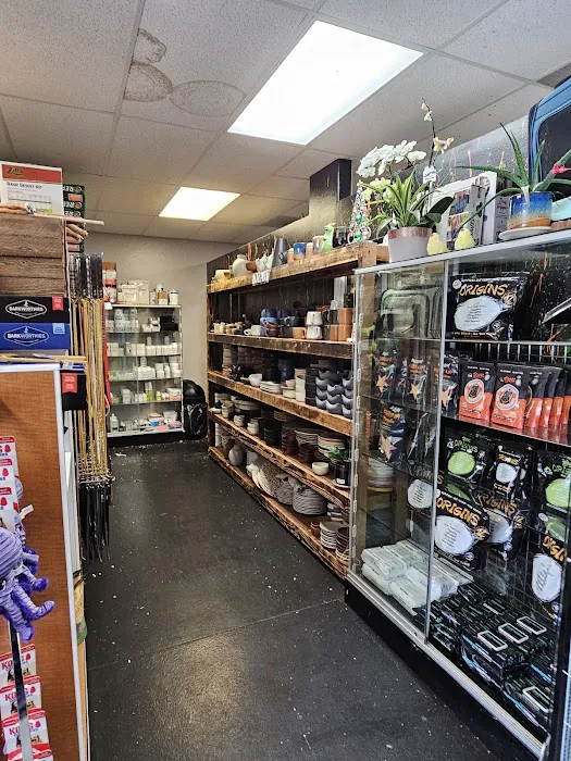 Canela pet shop LLC Picture 3