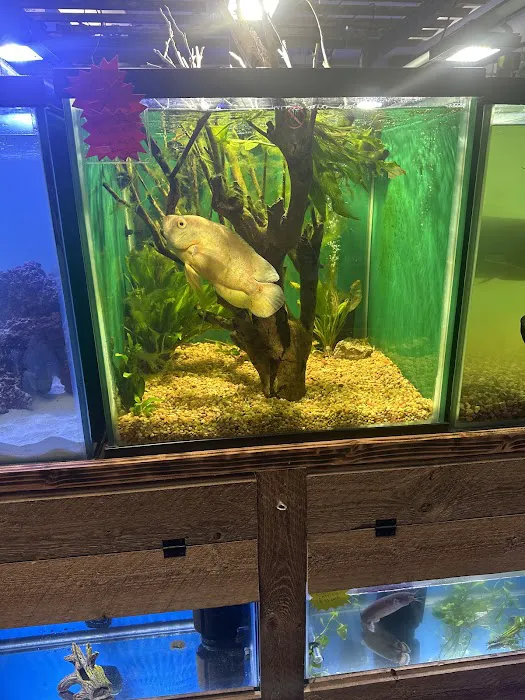 Canela pet shop LLC Picture 8