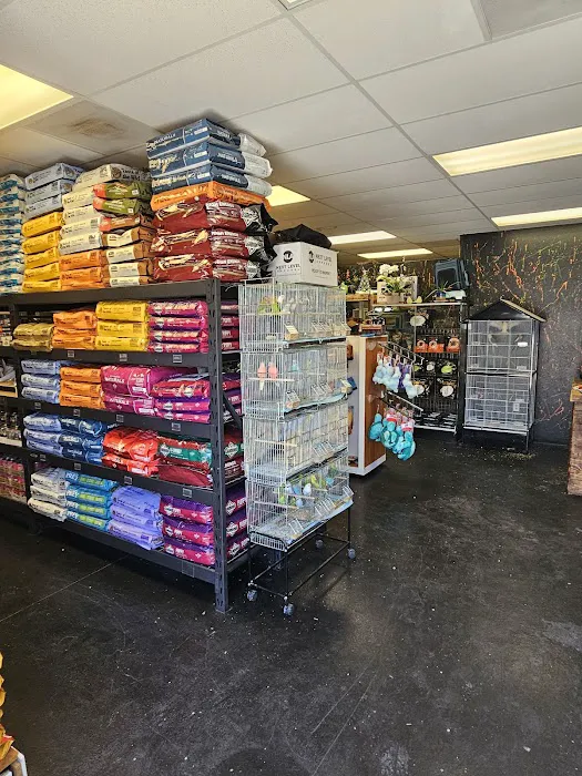 Canela pet shop LLC Picture 6