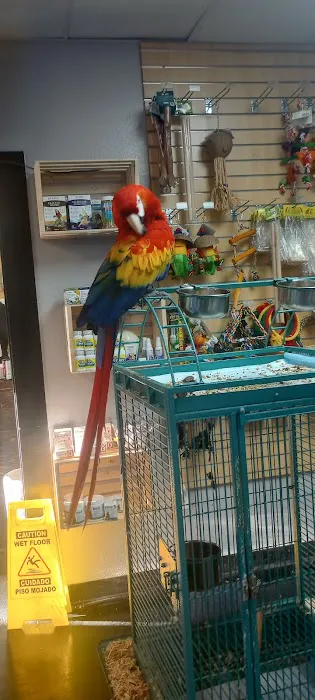 Canela pet shop LLC Picture 4