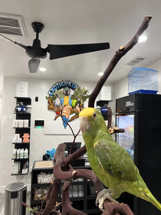 Exotic Pets 701 inc Picture 1