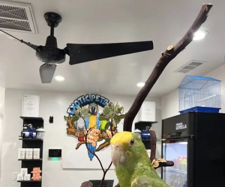Exotic Pets 701 inc