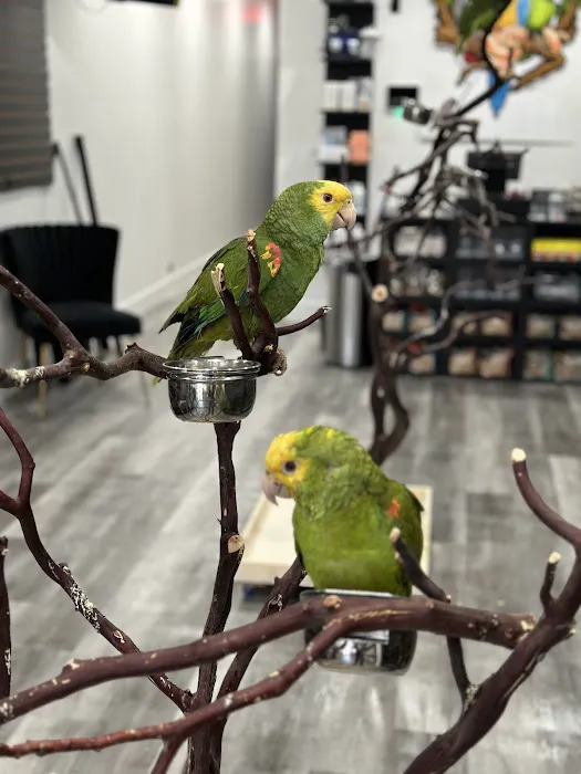 Exotic Pets 701 inc Picture 6