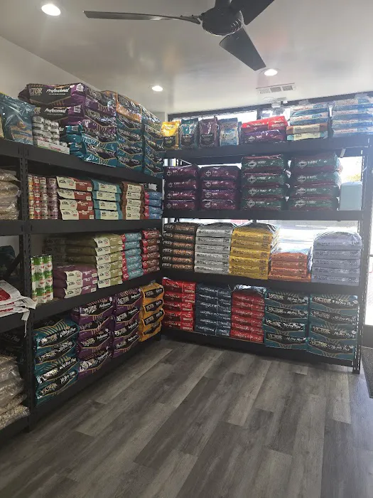 Exotic Pets 701 inc Picture 4