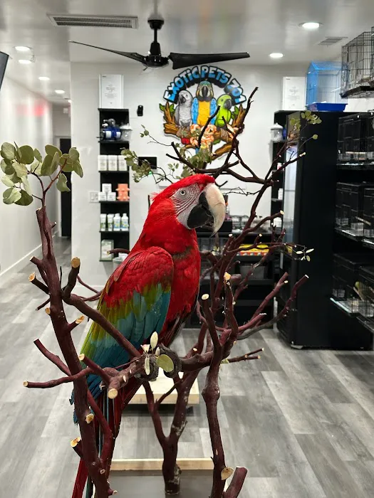 Exotic Pets 701 inc Picture 5