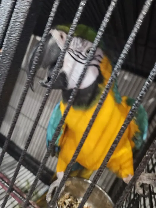 Exotic Pets 701 inc Picture 3