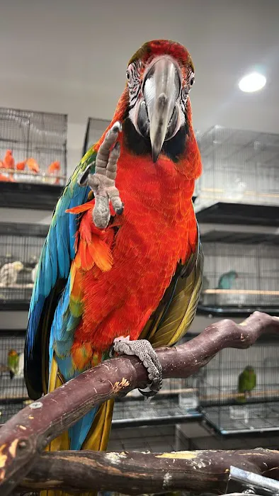 Exotic Pets 701 inc Picture 10