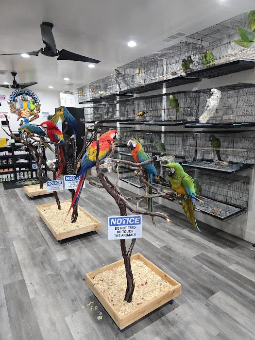 Exotic Pets 701 inc Picture 8