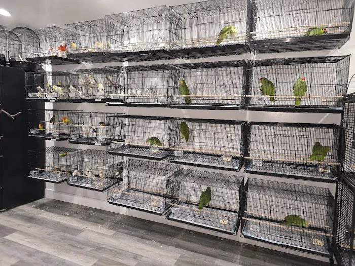 Exotic Pets 701 inc Picture 9