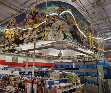 Petco