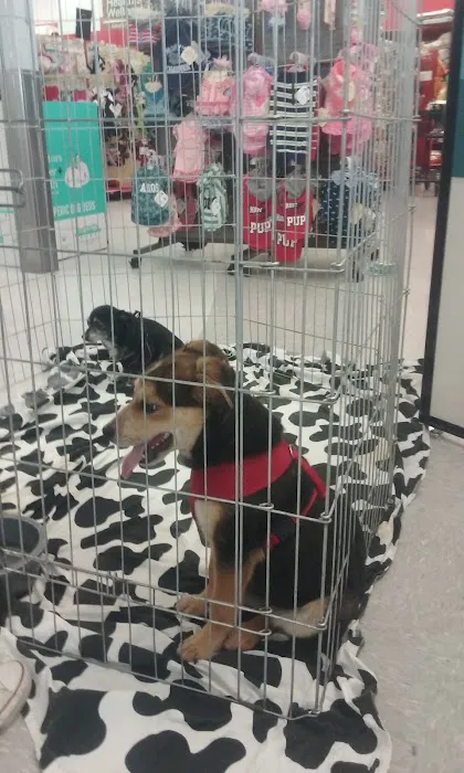 Petco Picture 5